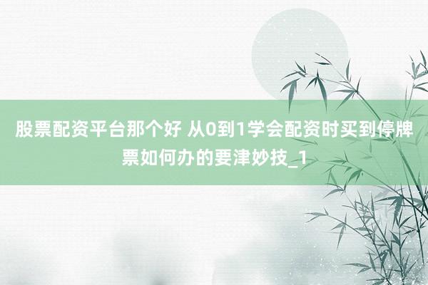 股票配资平台那个好 从0到1学会配资时买到停牌票如何办的要津妙技_1