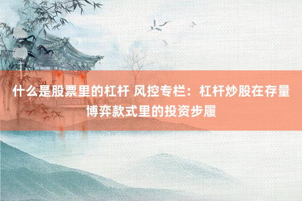 什么是股票里的杠杆 风控专栏：杠杆炒股在存量博弈款式里的投资步履